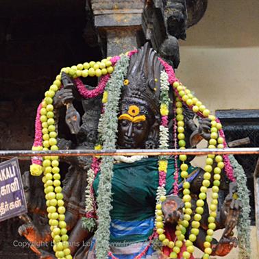 Meenakshi Temple, Madurai,_DSC_7956_H600